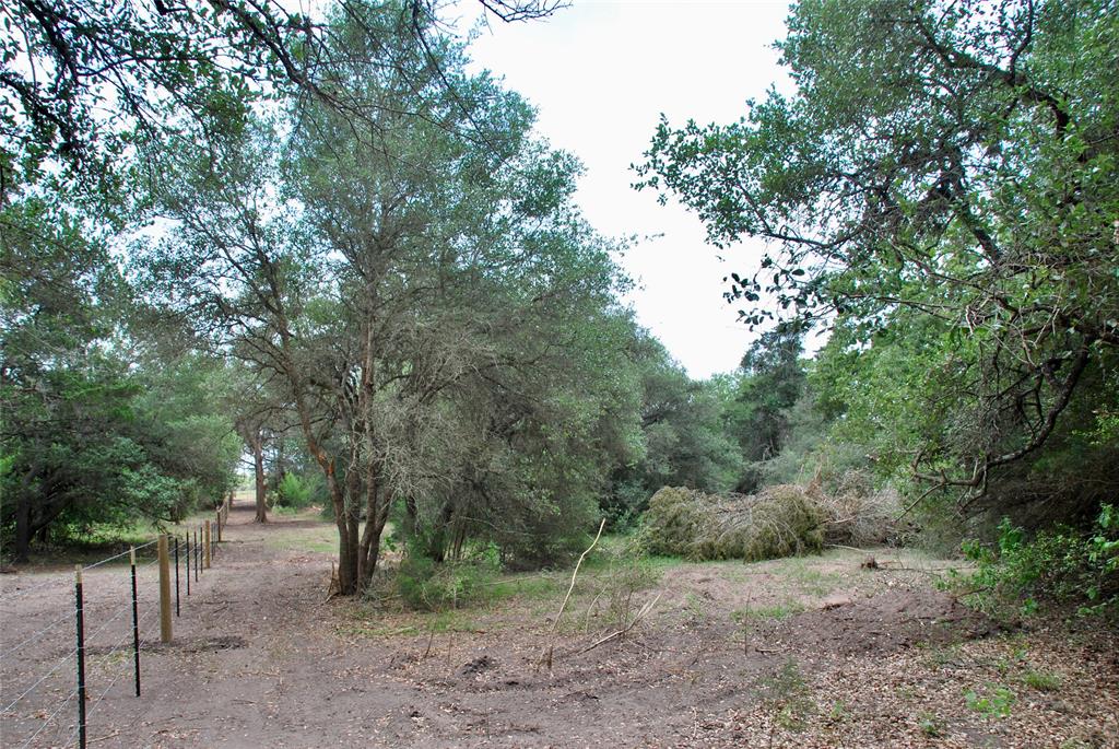 2679 Fm 318, Yoakum, Texas image 35