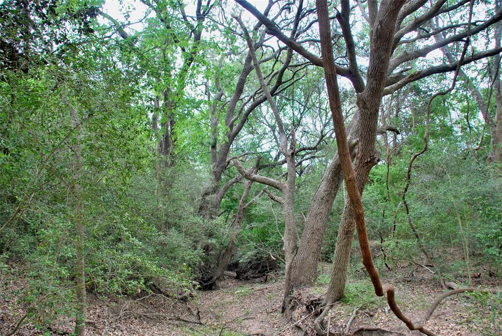 2679 Fm 318, Yoakum, Texas image 16