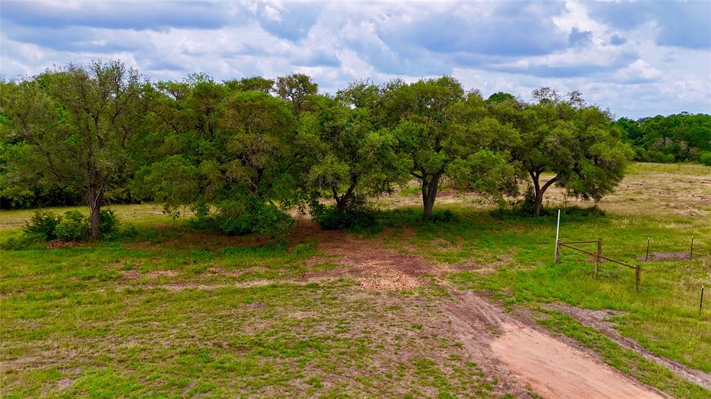 2679 Fm 318, Yoakum, Texas image 23