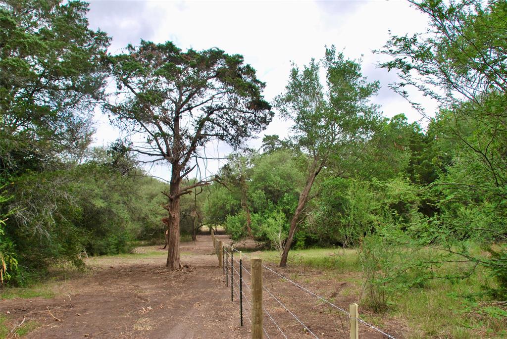 2679 Fm 318, Yoakum, Texas image 19