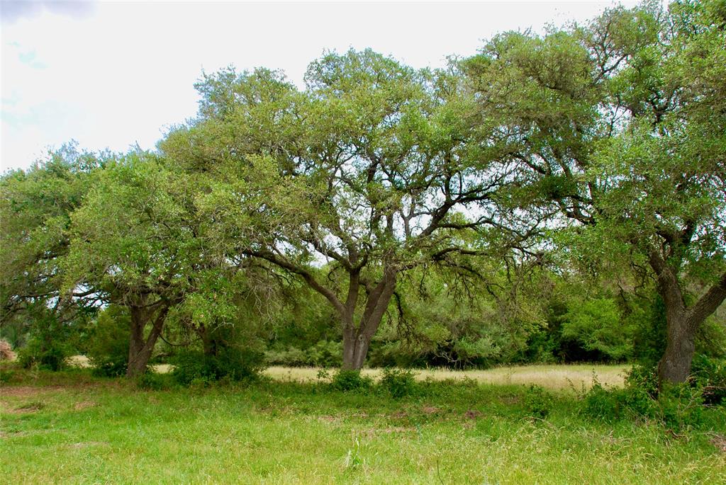 2679 Fm 318, Yoakum, Texas image 2