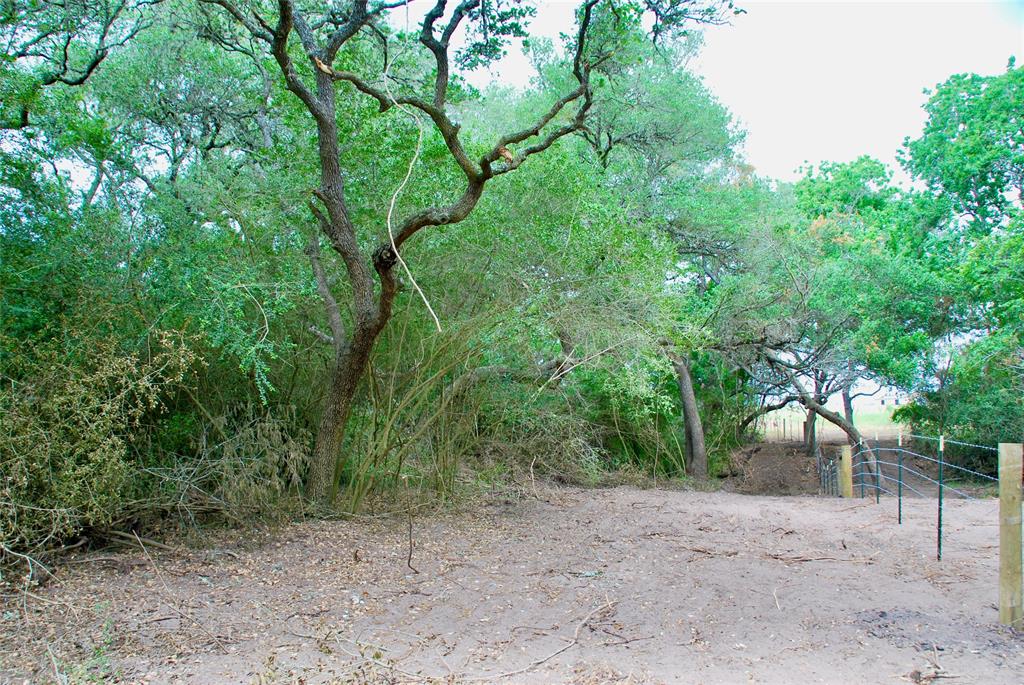 2679 Fm 318, Yoakum, Texas image 34