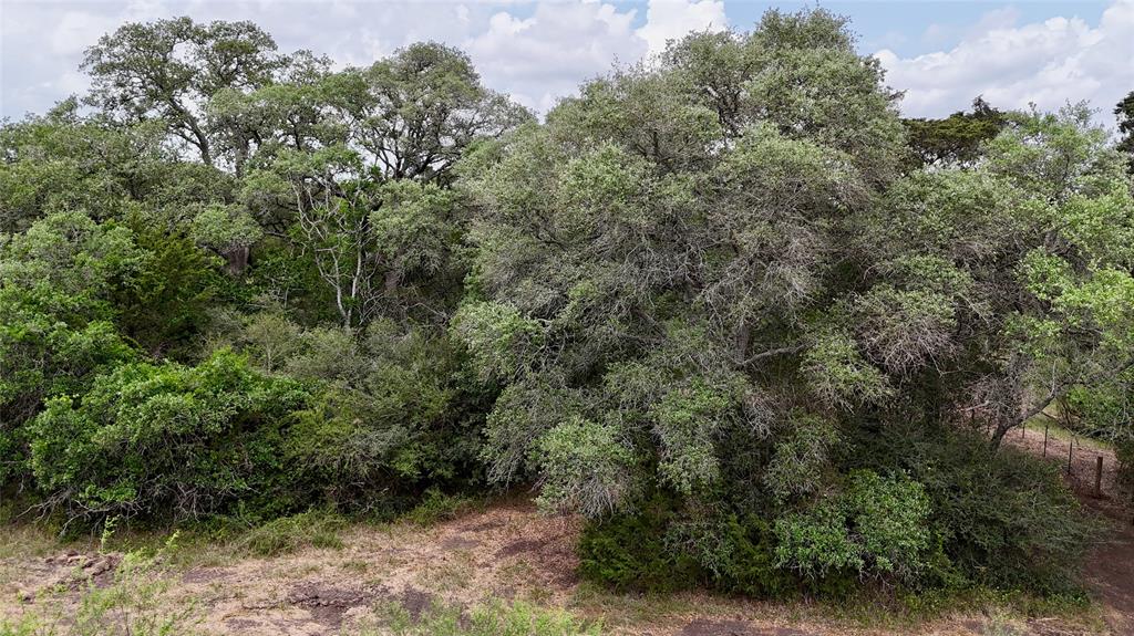 2679 Fm 318, Yoakum, Texas image 28