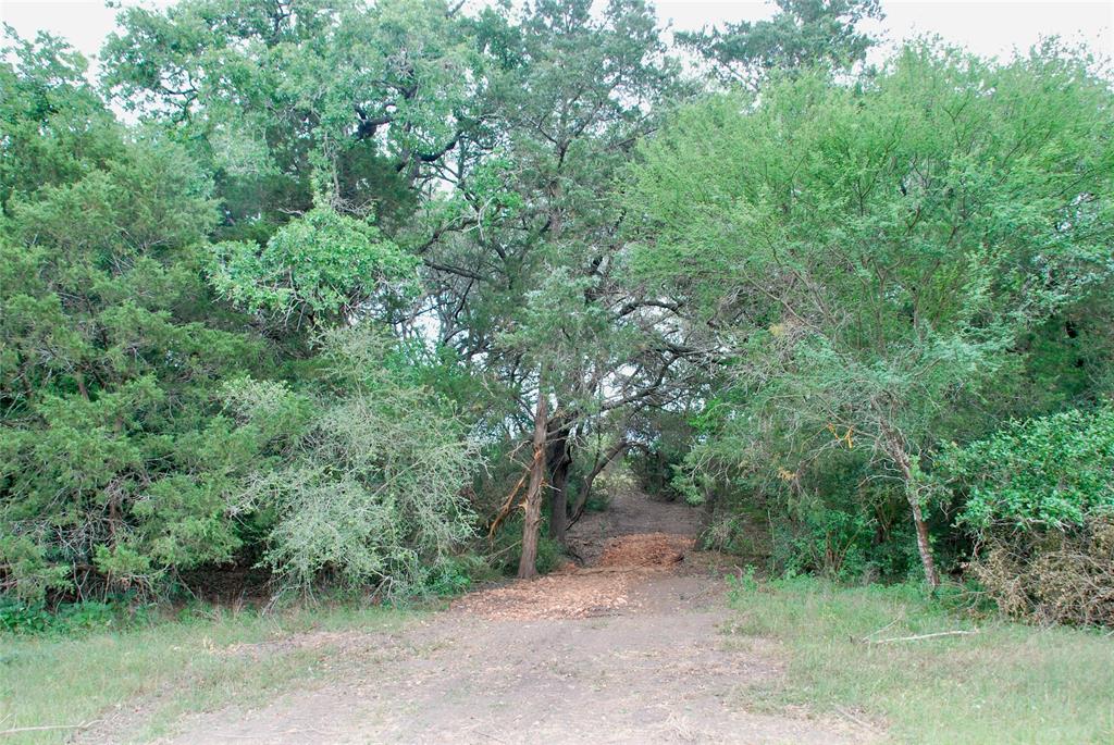 2679 Fm 318, Yoakum, Texas image 14