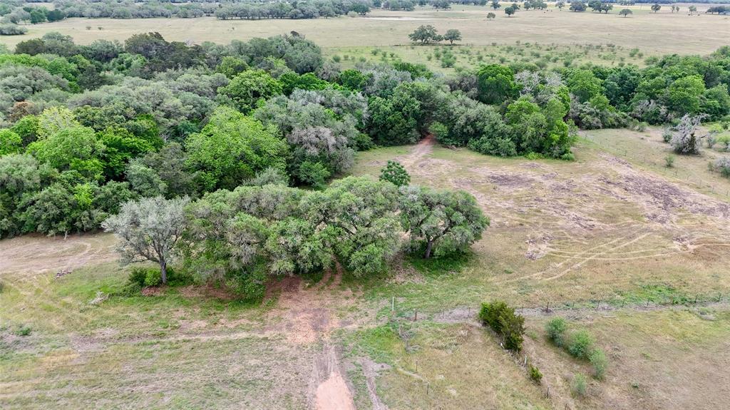 2679 Fm 318, Yoakum, Texas image 3