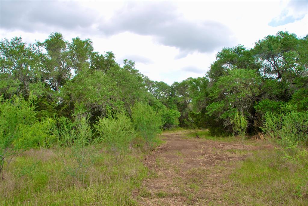 2679 Fm 318, Yoakum, Texas image 32