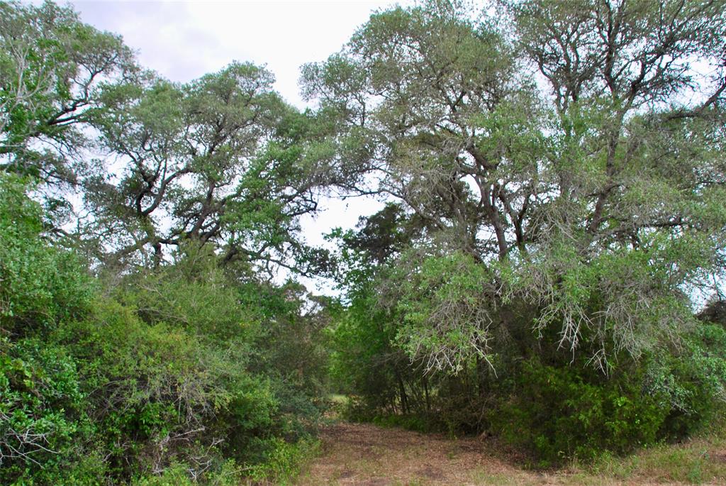 2679 Fm 318, Yoakum, Texas image 21