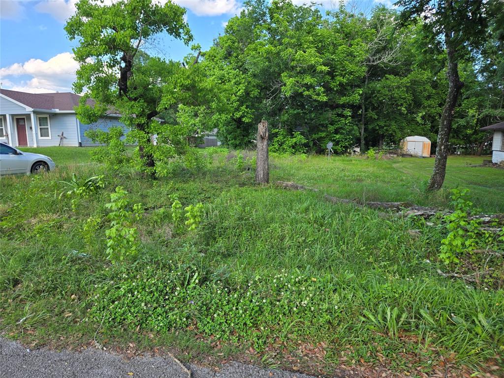 309 White Oak Street, Diboll, Texas image 4