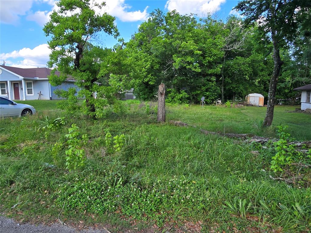 309 White Oak Street, Diboll, Texas image 6