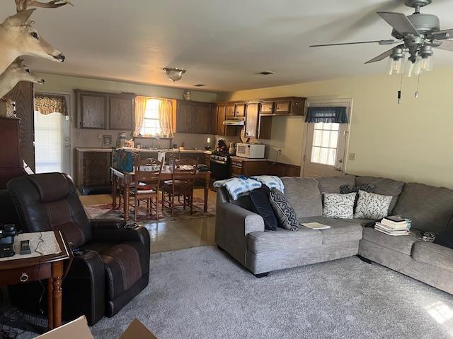 117 Whitewing Street, Dayton, Texas image 3