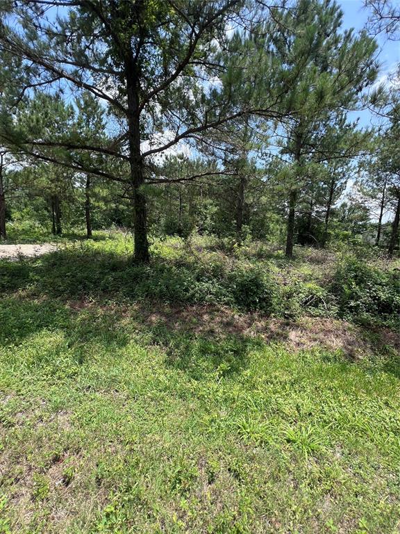 175 County Road 4873, Dayton, Texas image 6