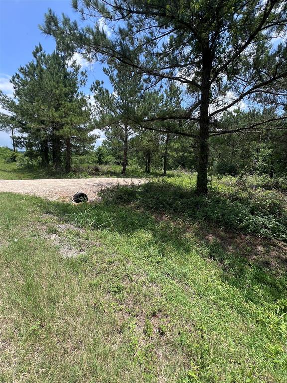 175 County Road 4873, Dayton, Texas image 1