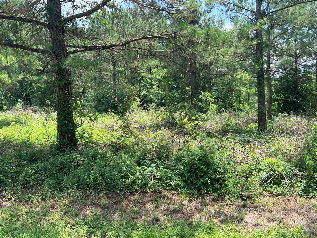 175 County Road 4873, Dayton, Texas image 7
