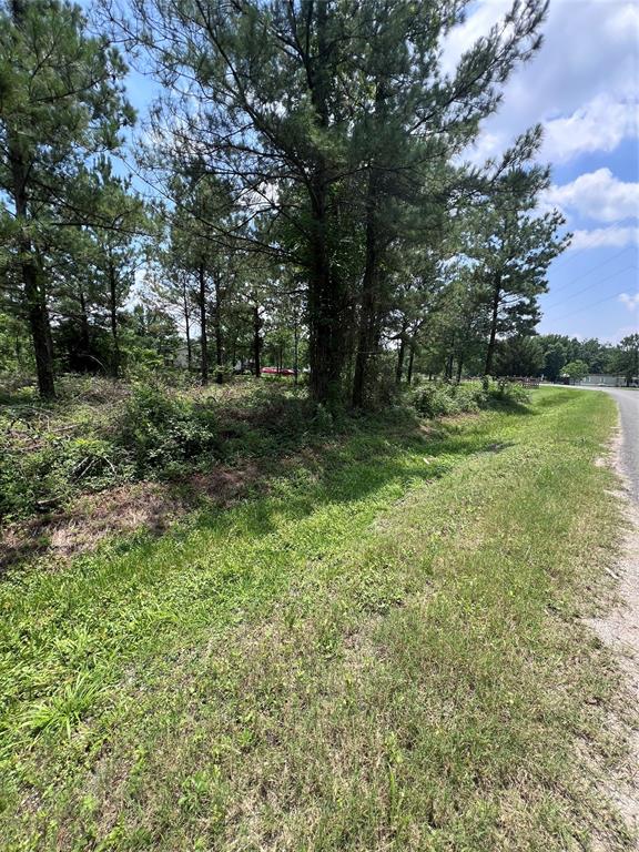 175 County Road 4873
