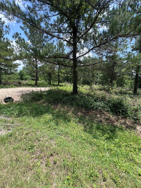 175 County Road 4873