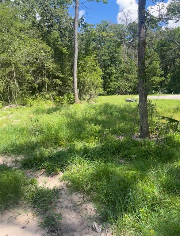 58 Firewood Road, Huntsville, Texas image 2