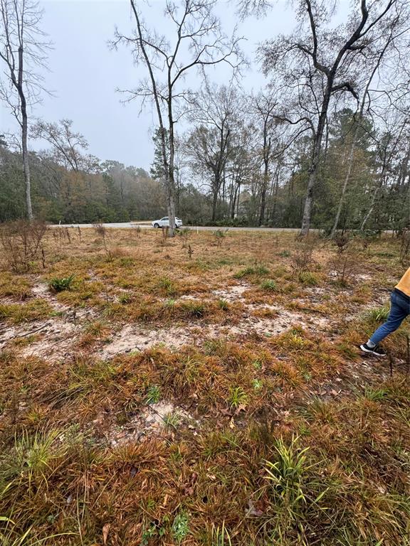 58 Firewood Road, Huntsville, Texas image 3