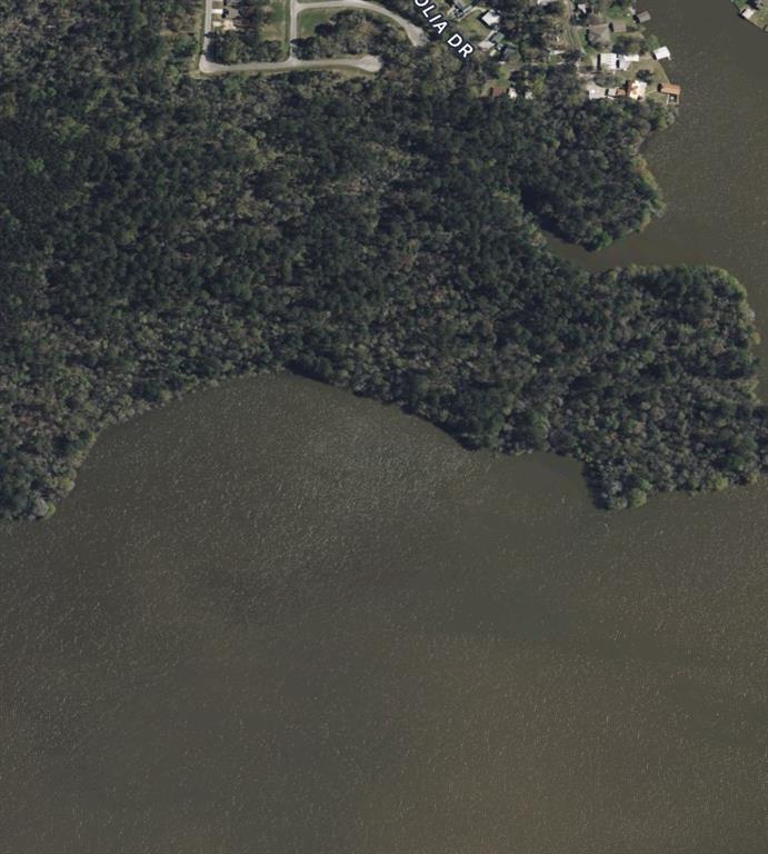 58 Firewood Road, Huntsville, Texas image 5