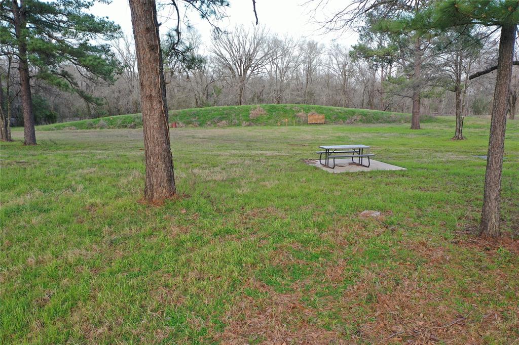 6303 Planters Row Lane, Plantersville, Texas image 28