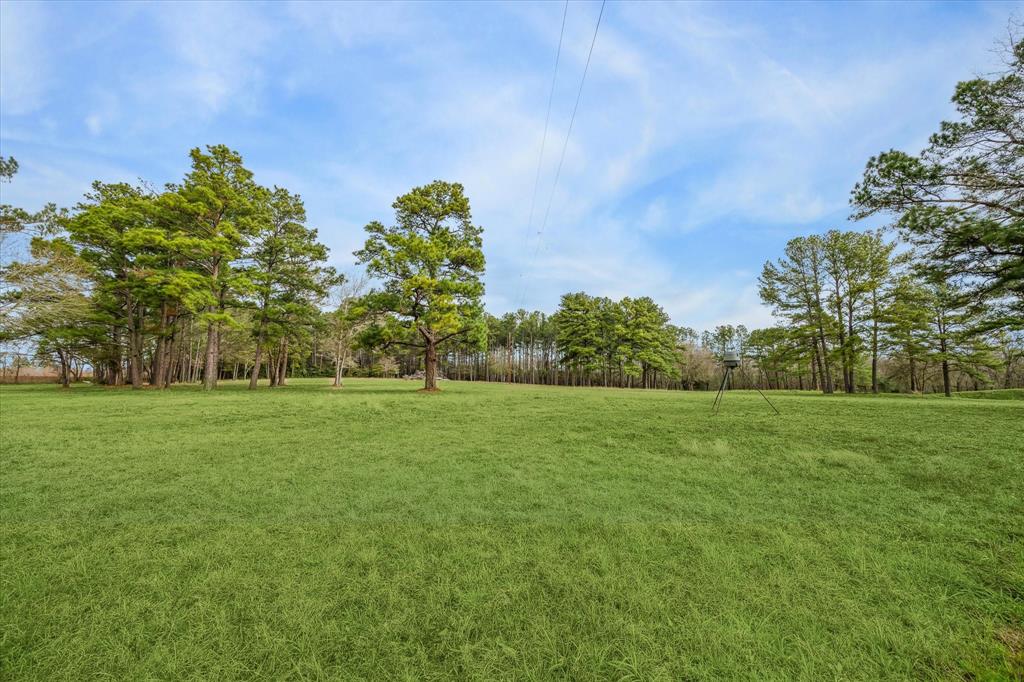 6303 Planters Row Lane, Plantersville, Texas image 12