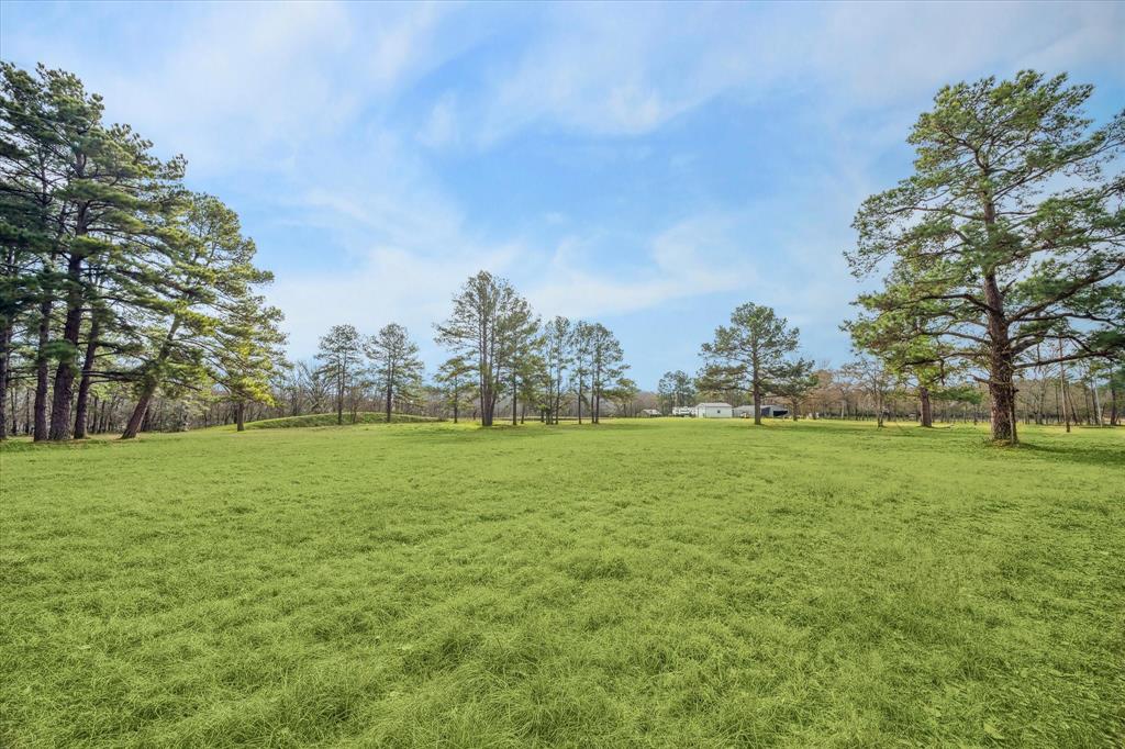 6303 Planters Row Lane, Plantersville, Texas image 11