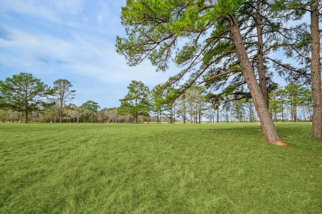 6303 Planters Row Lane, Plantersville, Texas image 10