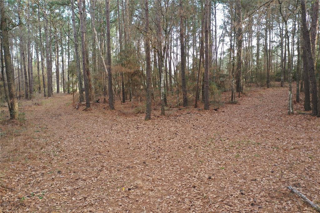 6303 Planters Row Lane, Plantersville, Texas image 22