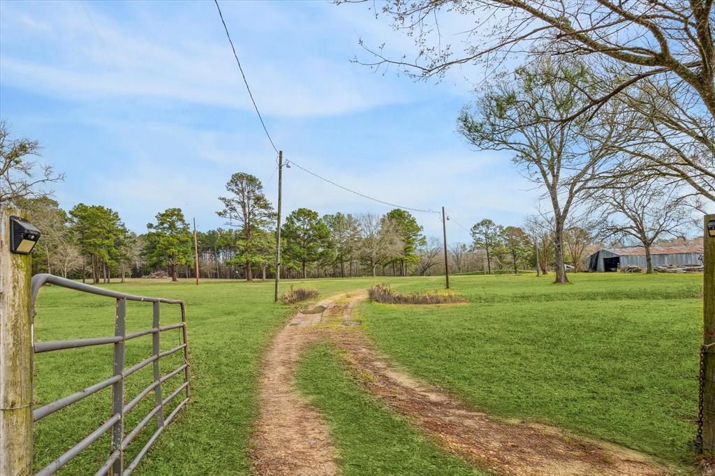 6303 Planters Row Lane, Plantersville, Texas image 4