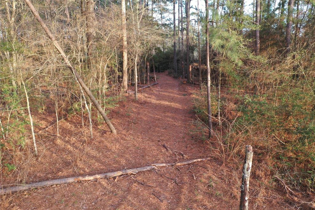 6303 Planters Row Lane, Plantersville, Texas image 24