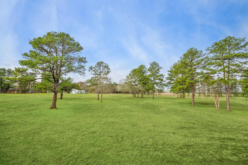 6303 Planters Row Lane, Plantersville, Texas image 9