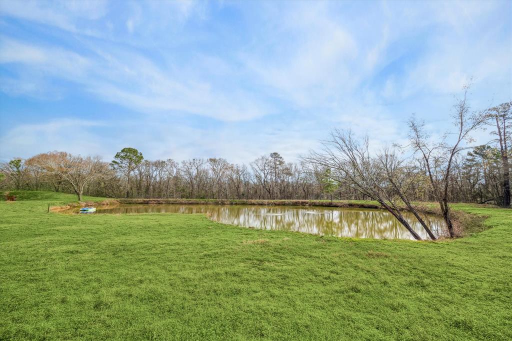 6303 Planters Row Lane, Plantersville, Texas image 7