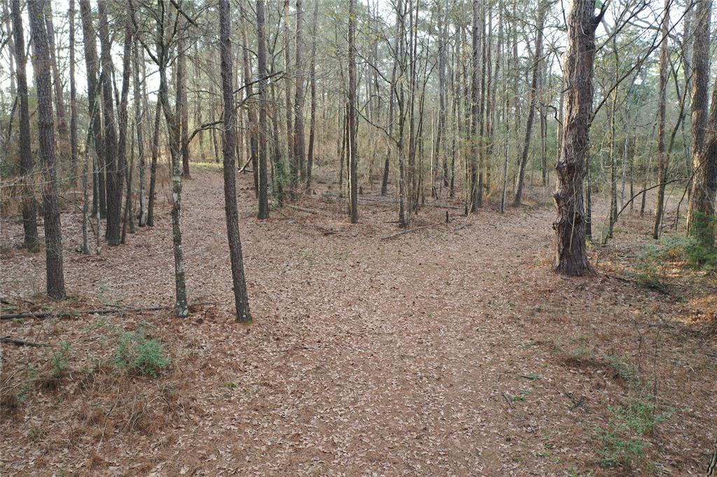 6303 Planters Row Lane, Plantersville, Texas image 21
