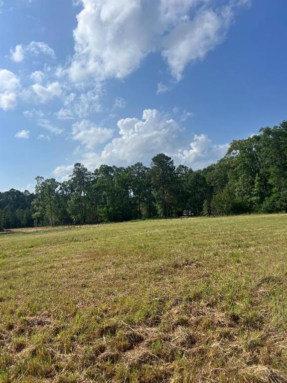 24980 Blackburn Drive, Splendora, Texas image 2