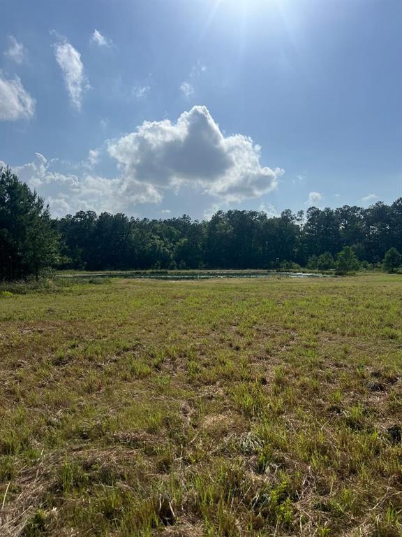 24980 Blackburn Drive, Splendora, Texas image 3