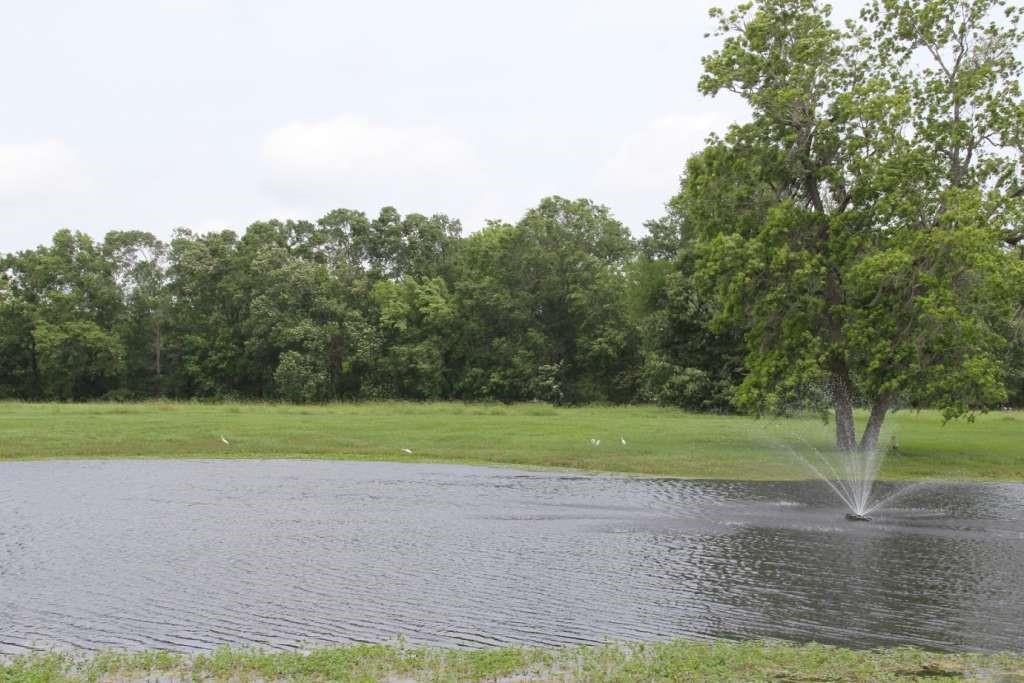 838 Cypress Lakes Circle, Cleveland, Texas image 20