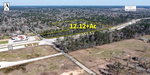 Photo of 20201 Hwy 242, Conroe, TX 77306 (MLS # 74501715)