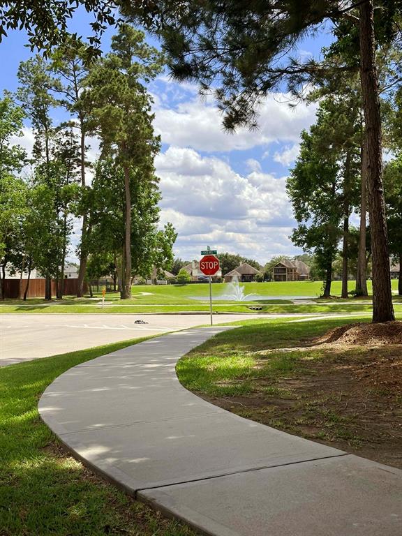 25981 N Kings Mill Lane, Kingwood, Texas image 32