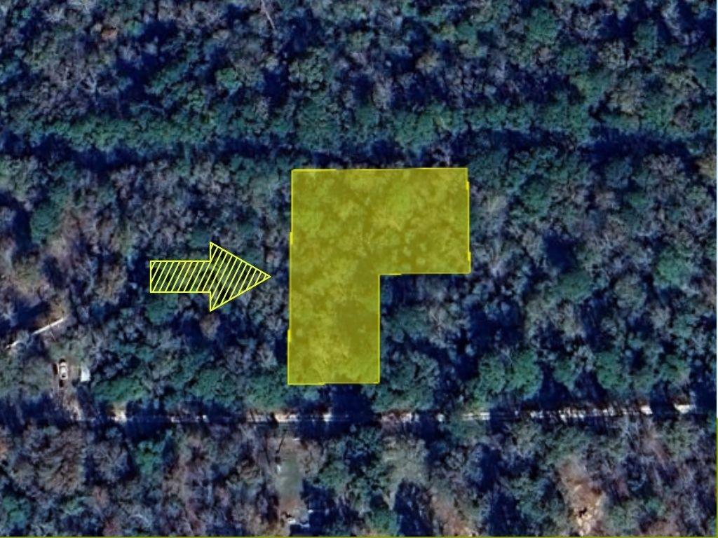 Private Road 6126, Woodville, Texas image 4