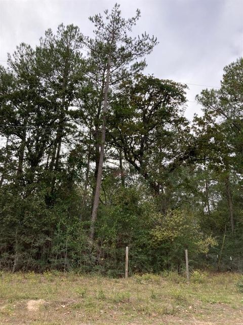 Photo of 16596 Camelia Lane Ln, Plantersville, TX 77363 (MLS # 46733553)