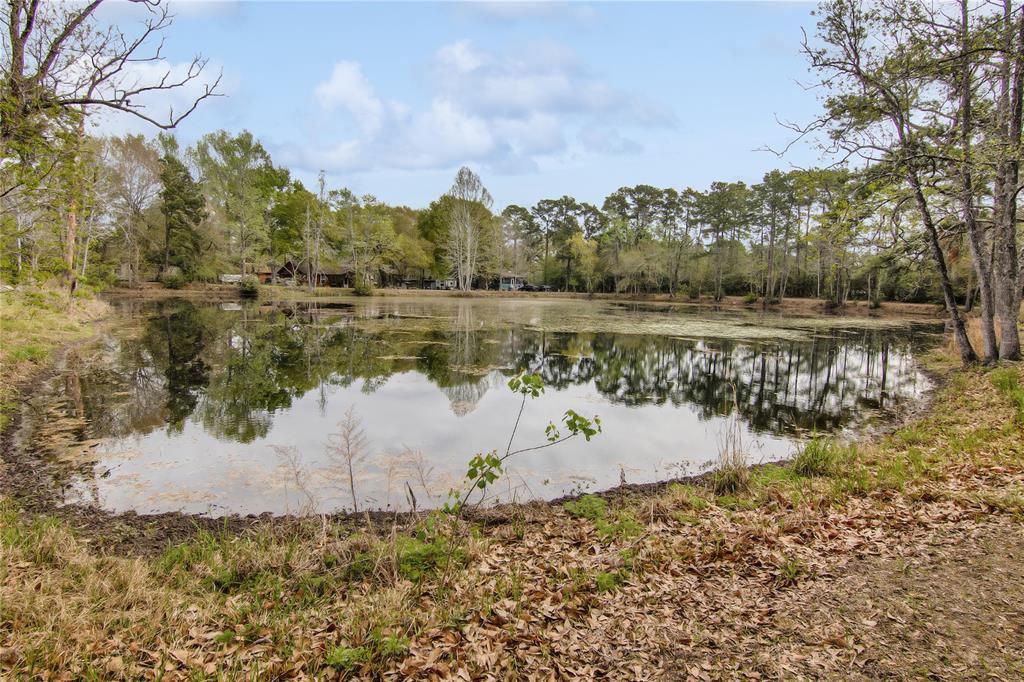 Lark Lane, Conroe, Texas image 1