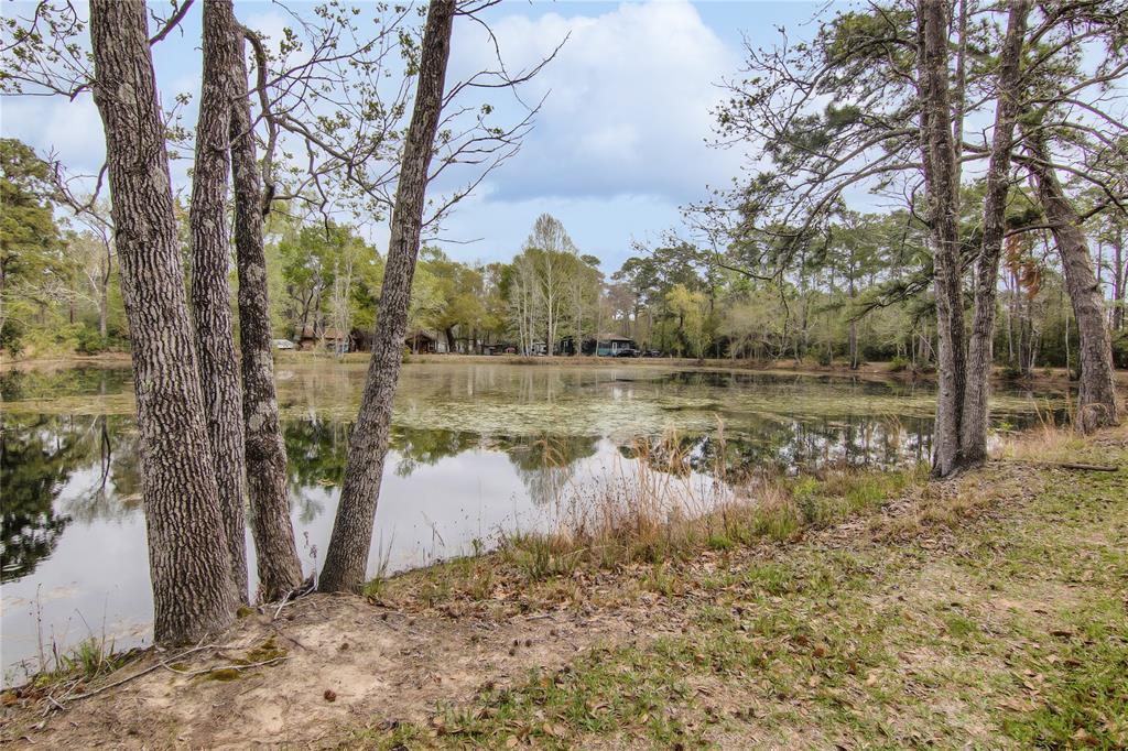 Lark Lane, Conroe, Texas image 2