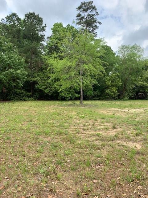 Vacant Land For Sale - 1203 Ashford Way<br/> Houston, TX 77339