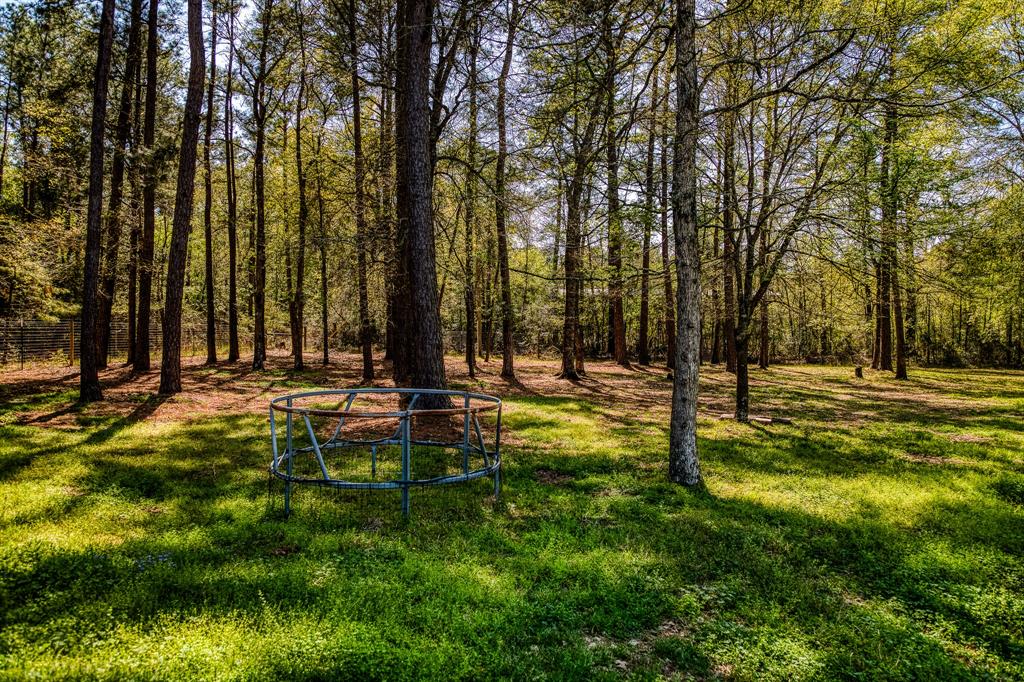 28402 Ascot Farms Road, Magnolia, Texas image 8