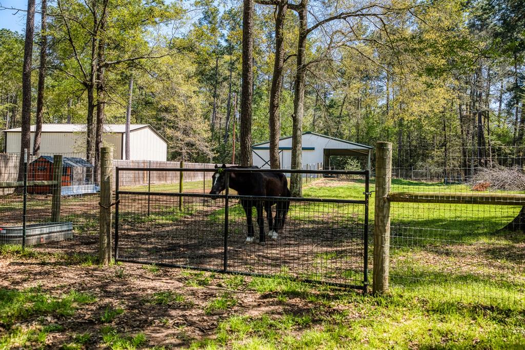 28402 Ascot Farms Road, Magnolia, Texas image 4