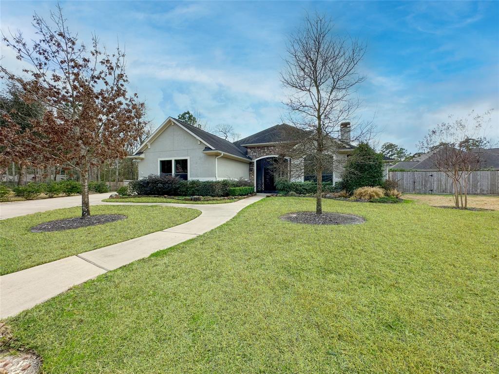 5 Dumaine Court, Conroe, Texas image 48