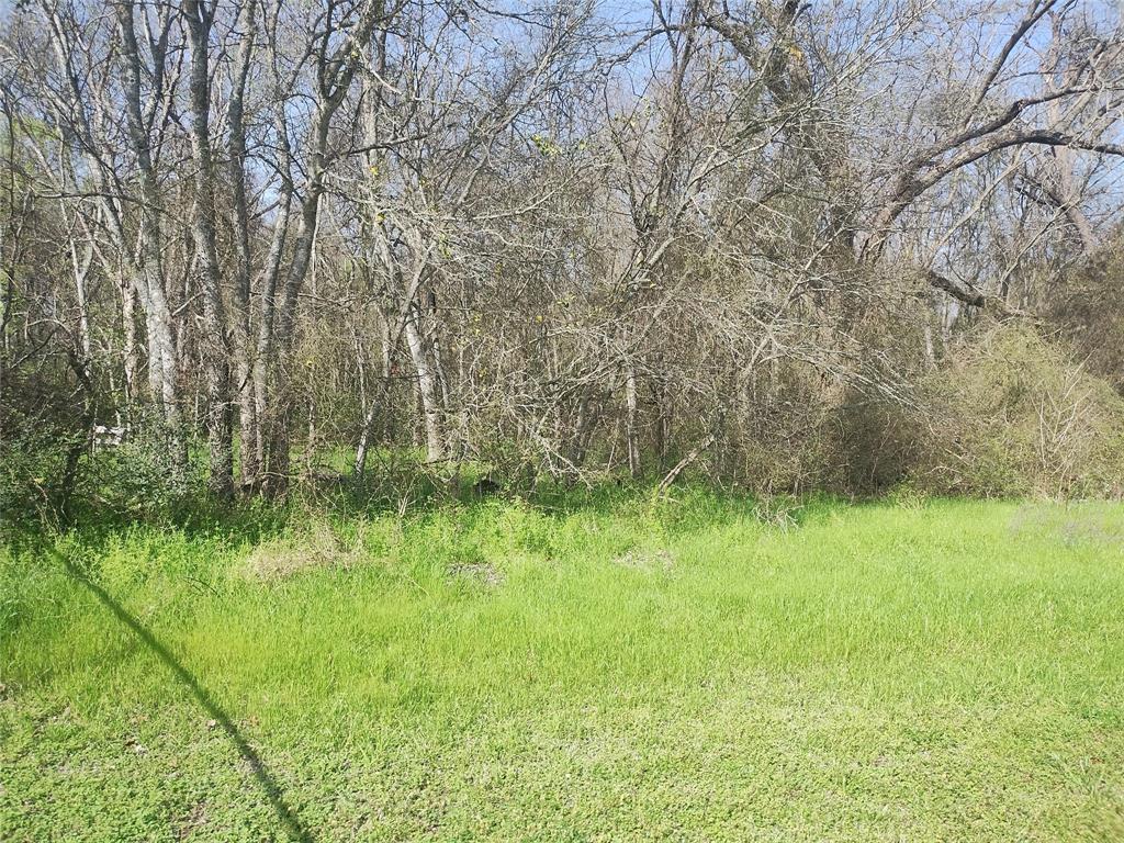 609 W Barton Street, Calvert, Texas image 3
