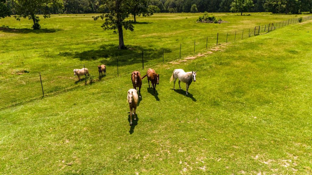 6566 Fm 2666, Shepherd, Texas image 31