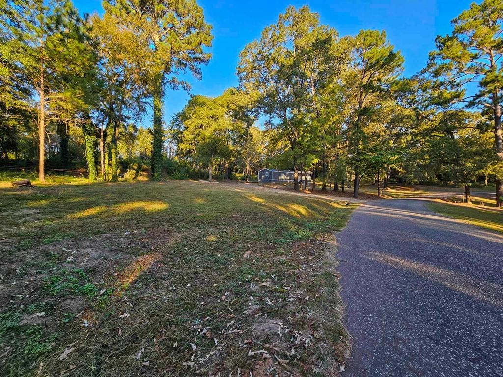 229 An County Road 385, Palestine, Texas image 17