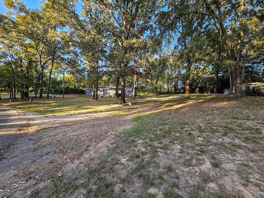 229 An County Road 385, Palestine, Texas image 2