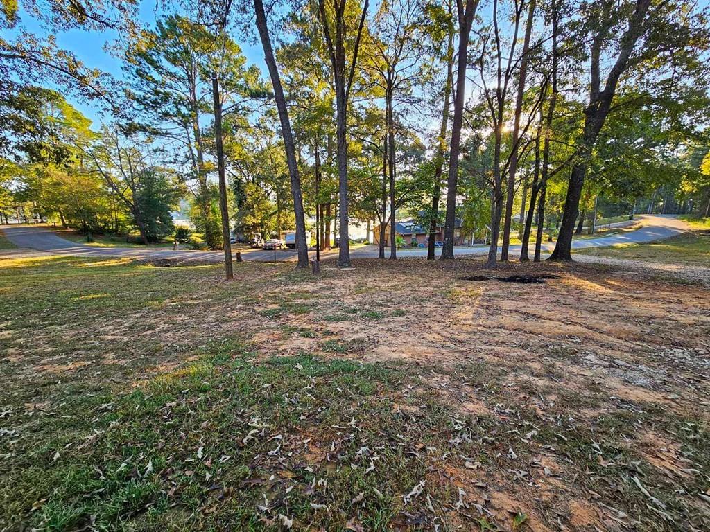 229 An County Road 385, Palestine, Texas image 8